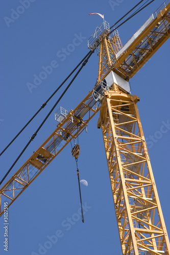 crane and moon