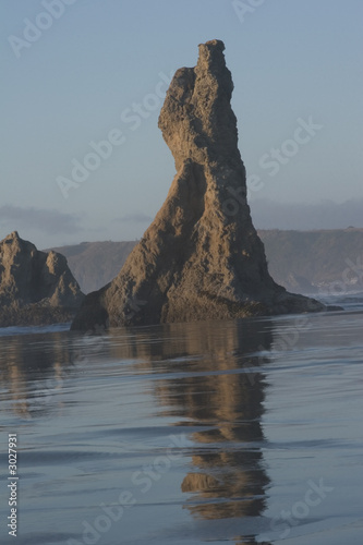 coastal giant #2