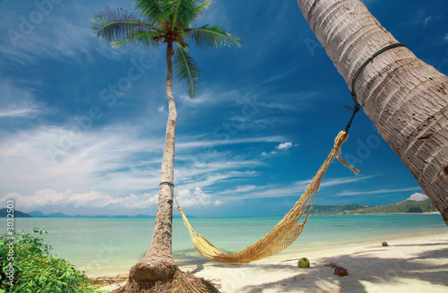 hammock photo