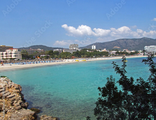 palma nova