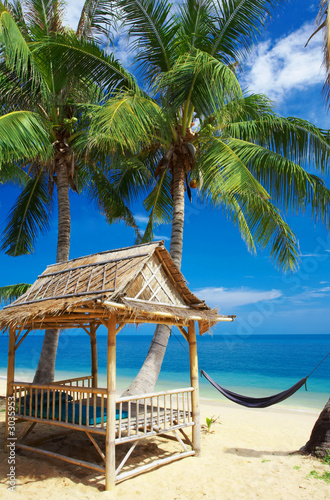 Slika na platnu bamboo hut