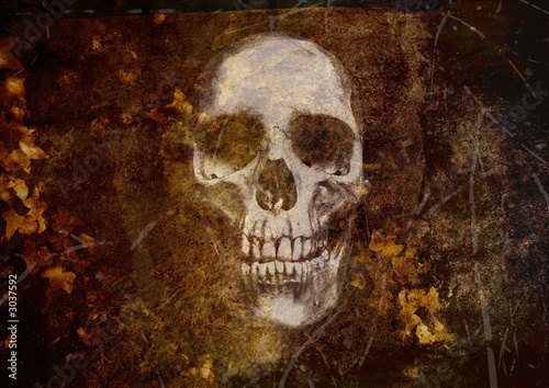 grunge gothic skull