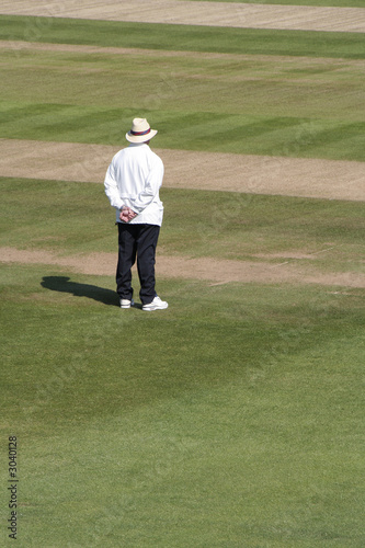 cricket umpire