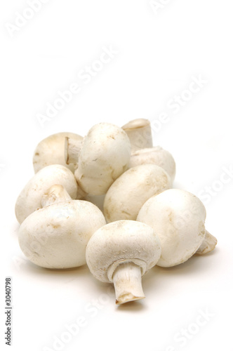 close up of button mushrooms