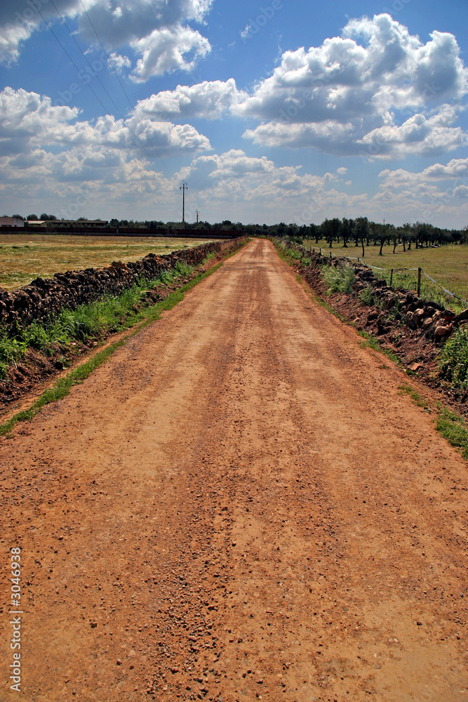 Fototapeta premium country road