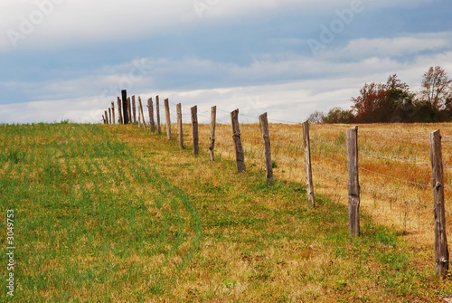 fence into horizon