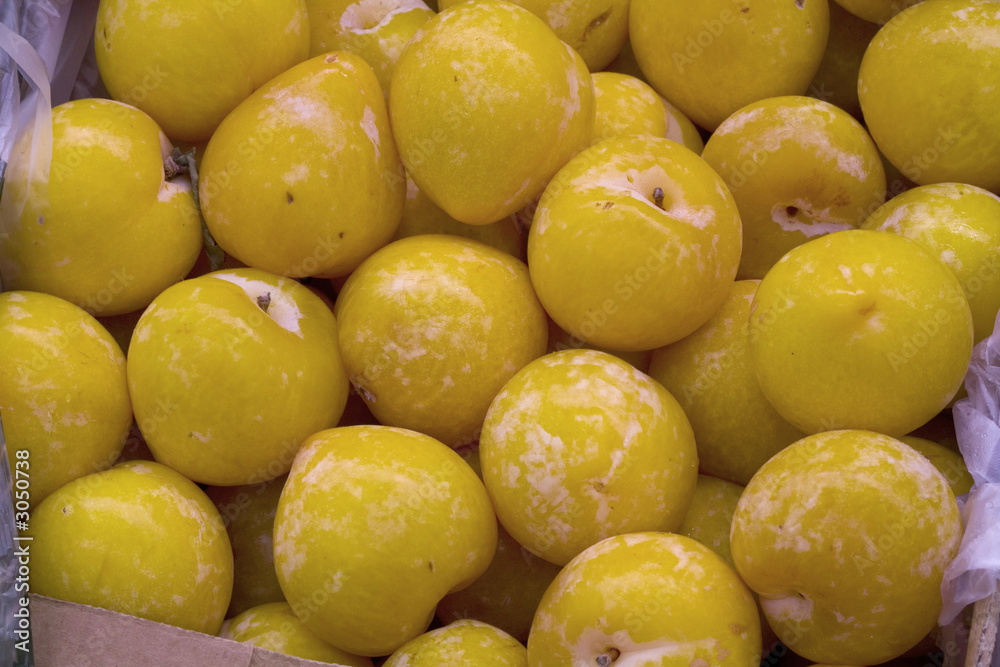 prunes prunes