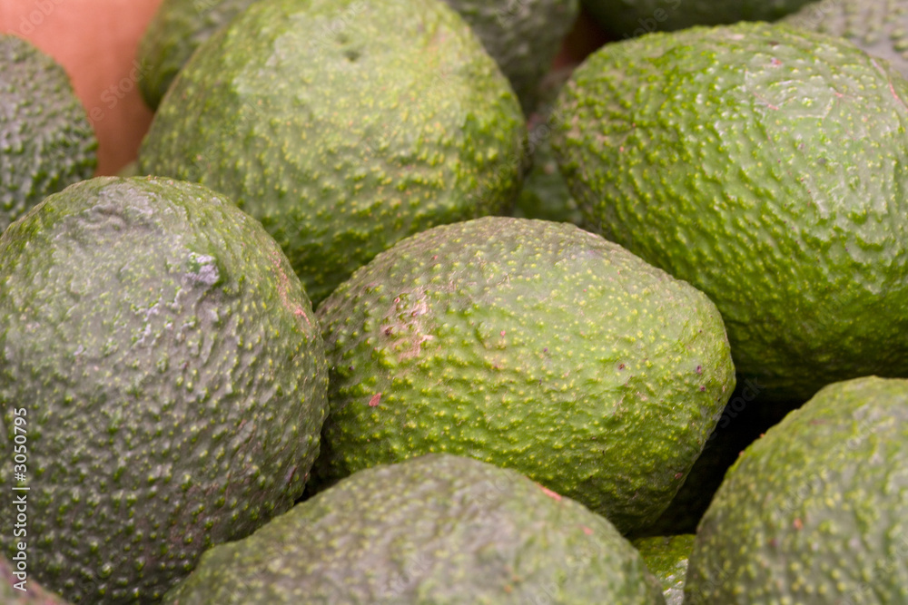 avocado avocado