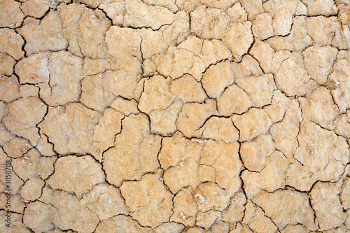 parched earth