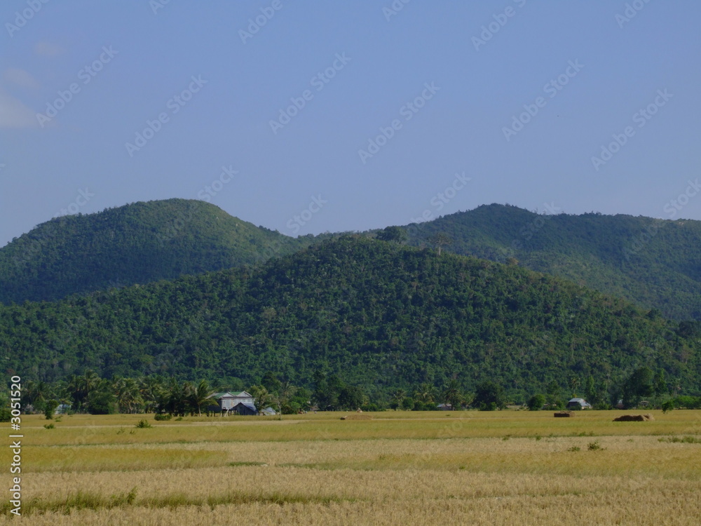 campagne et collines campagne et collines