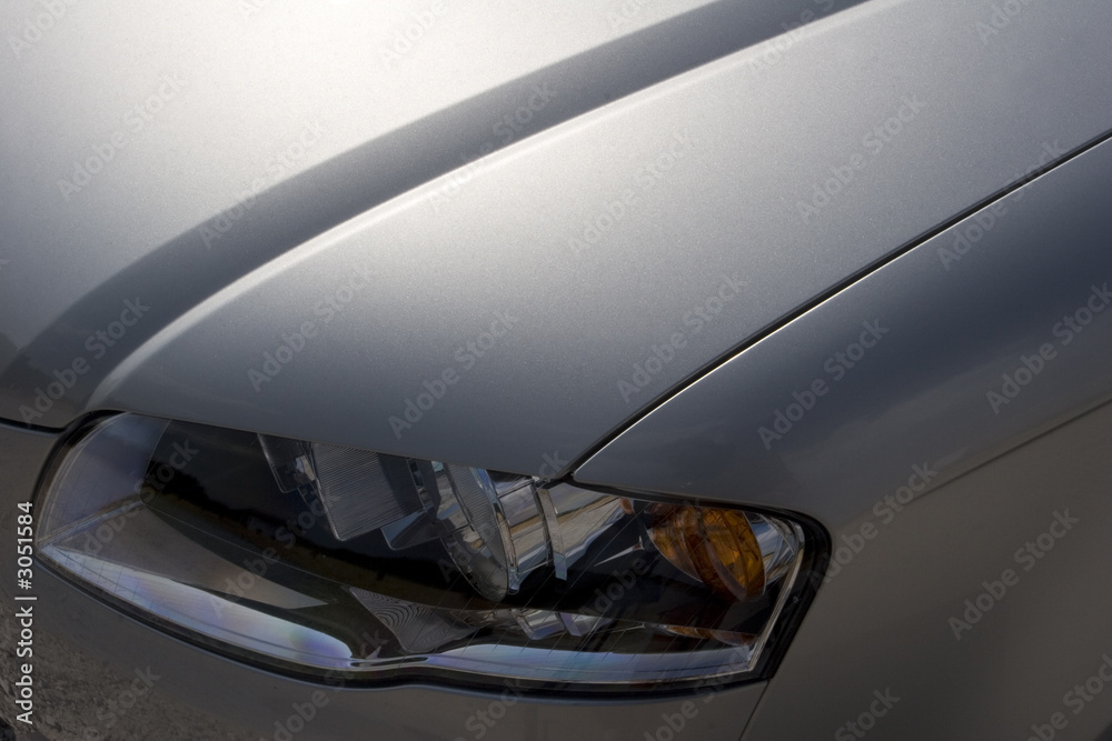 Obraz premium left wing