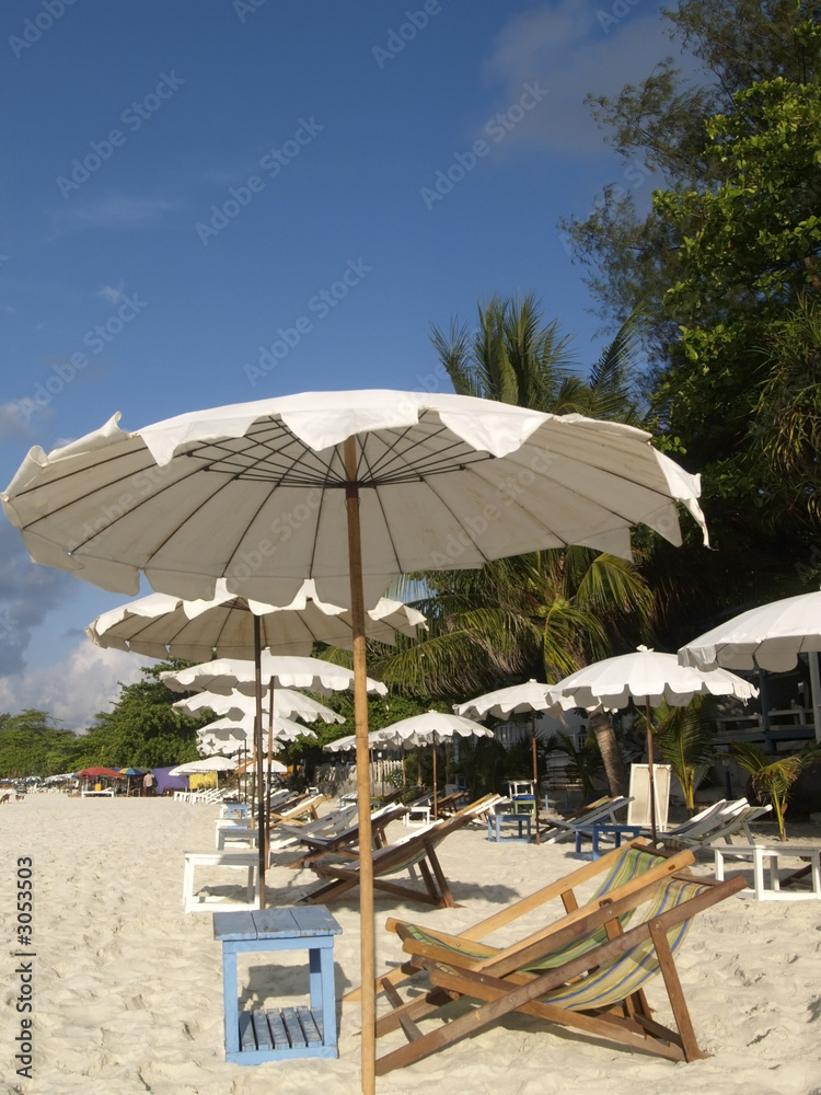 chairs and parasols on the beach