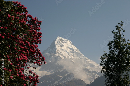 Himalaya Annapurna photo