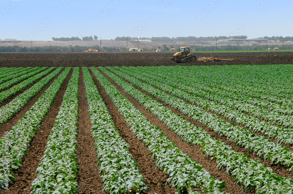 ploughing the fields ploughing the fields