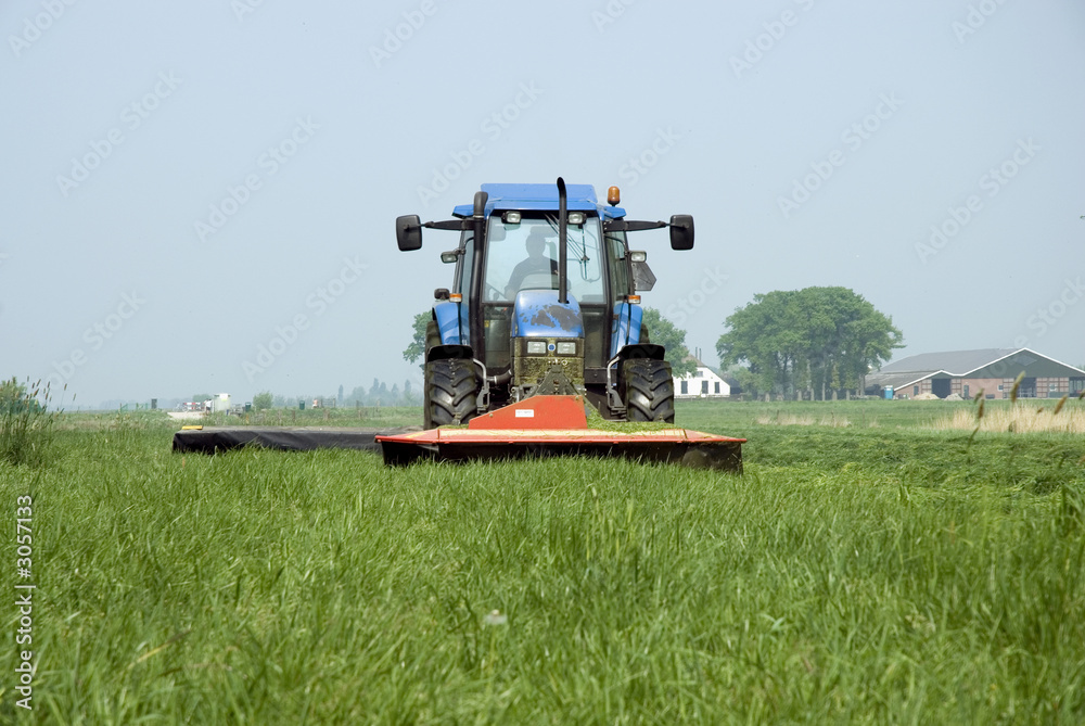 Fototapeta premium mowing the grass