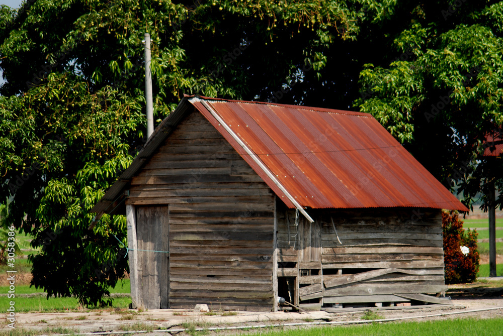 wooden house and trees