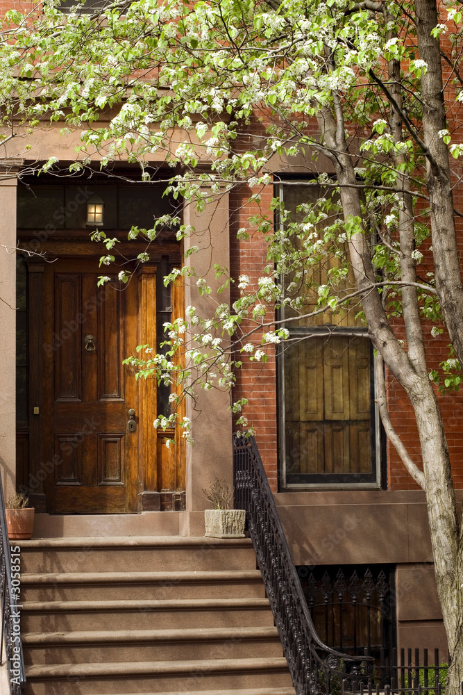 Naklejka premium Blooming trees in front of typical Brooklyn brownstone on Brooklyn Heights neighborhood, New York City, USA