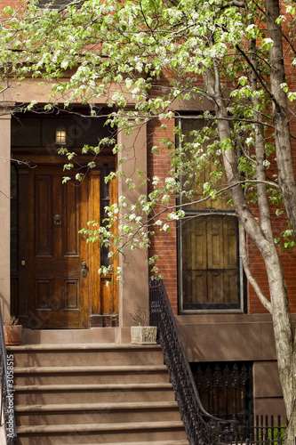 Blooming trees in front of typical Brooklyn brownstone on Brooklyn Heights neighborhood  New York City  USA