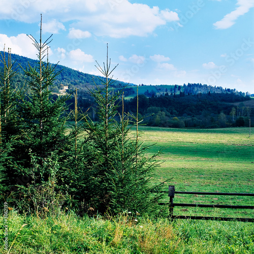 Fototapeta Naklejka Na Ścianę i Meble -  bieszczady