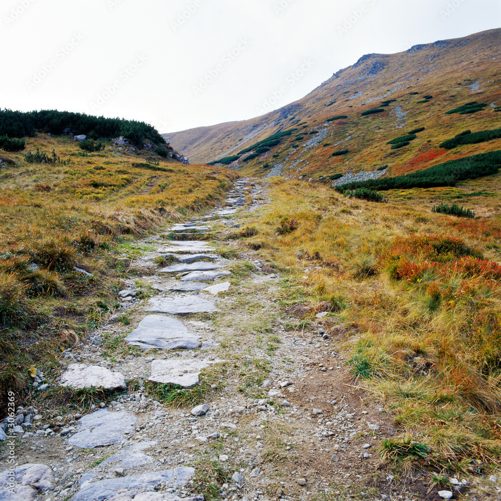 tatry