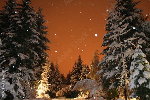 a winter's night