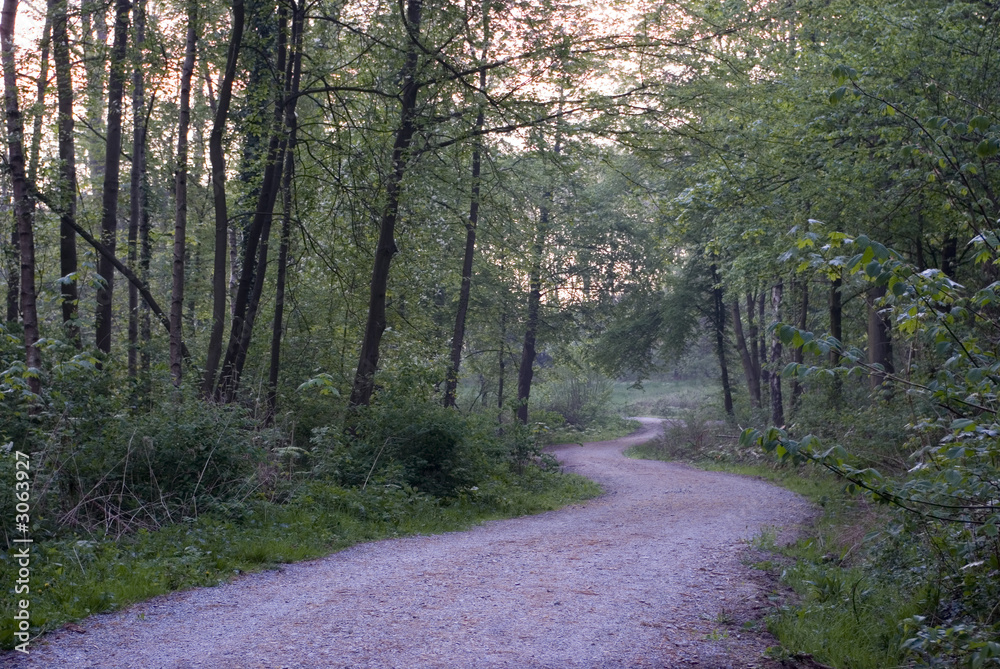 Fototapeta premium the future road