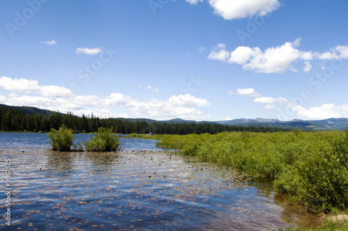 lake landscape