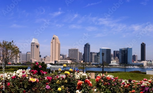 san diego skyline by day photo