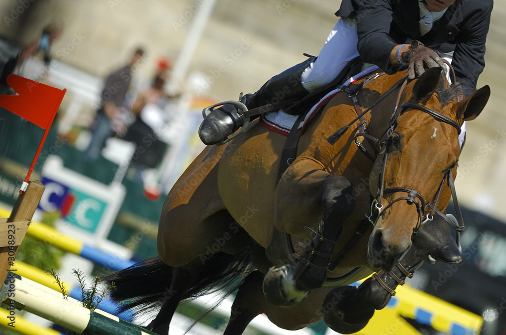 Obraz premium jumping à chantilly