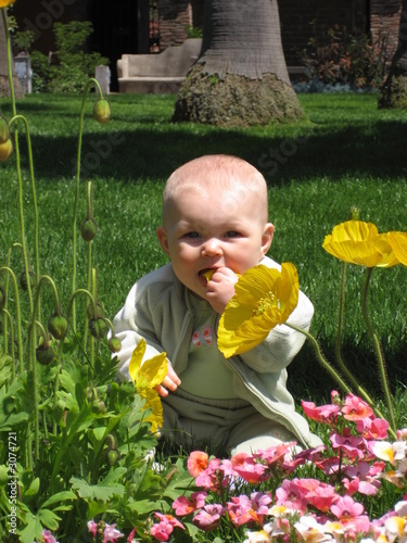 baby & flowers photo