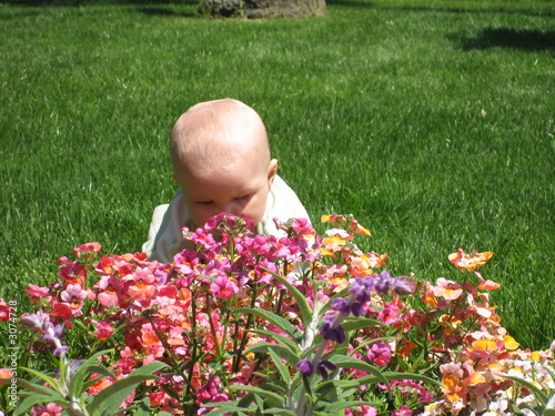 smell the flowers photo