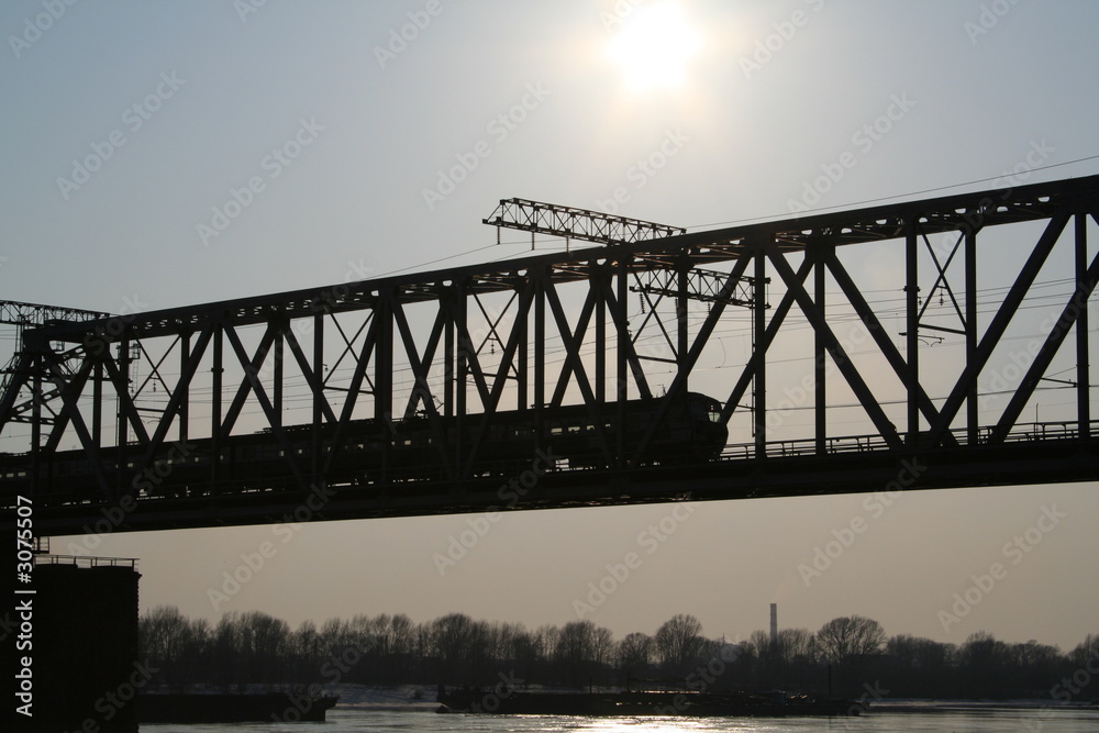Fototapeta premium train on railway bridge
