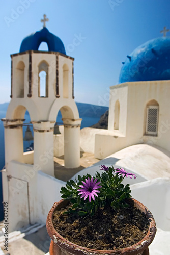 church and flower