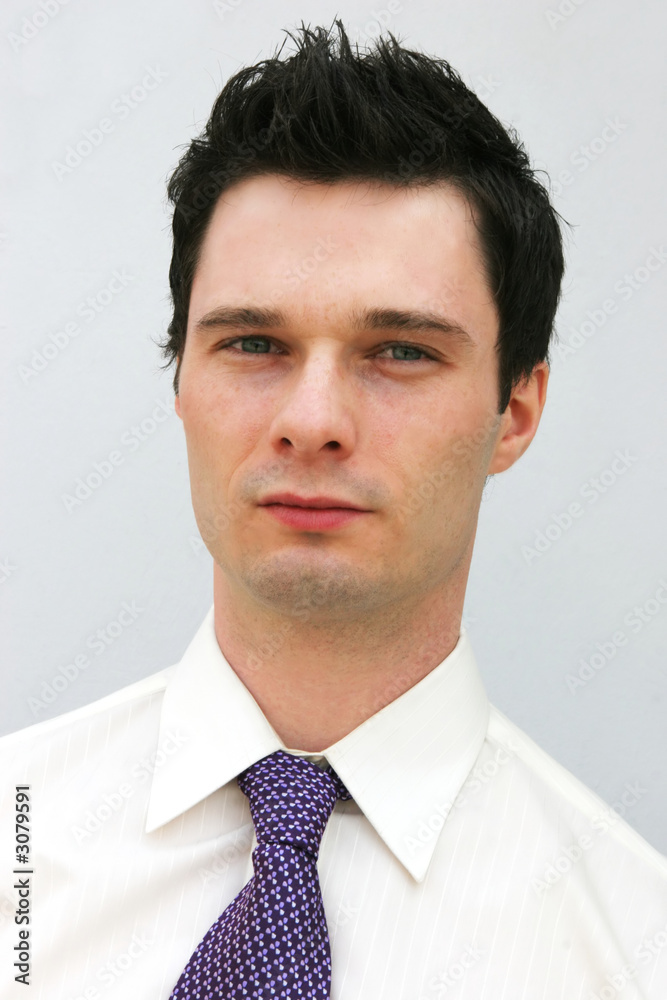 portrait of a businessman portrait of a businessman