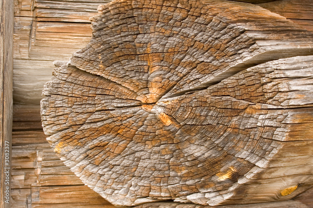 Fototapeta premium wood texture