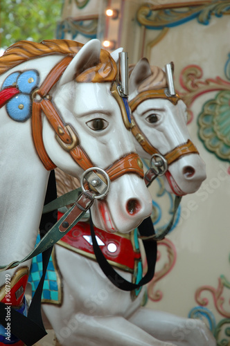 chevaux de manège