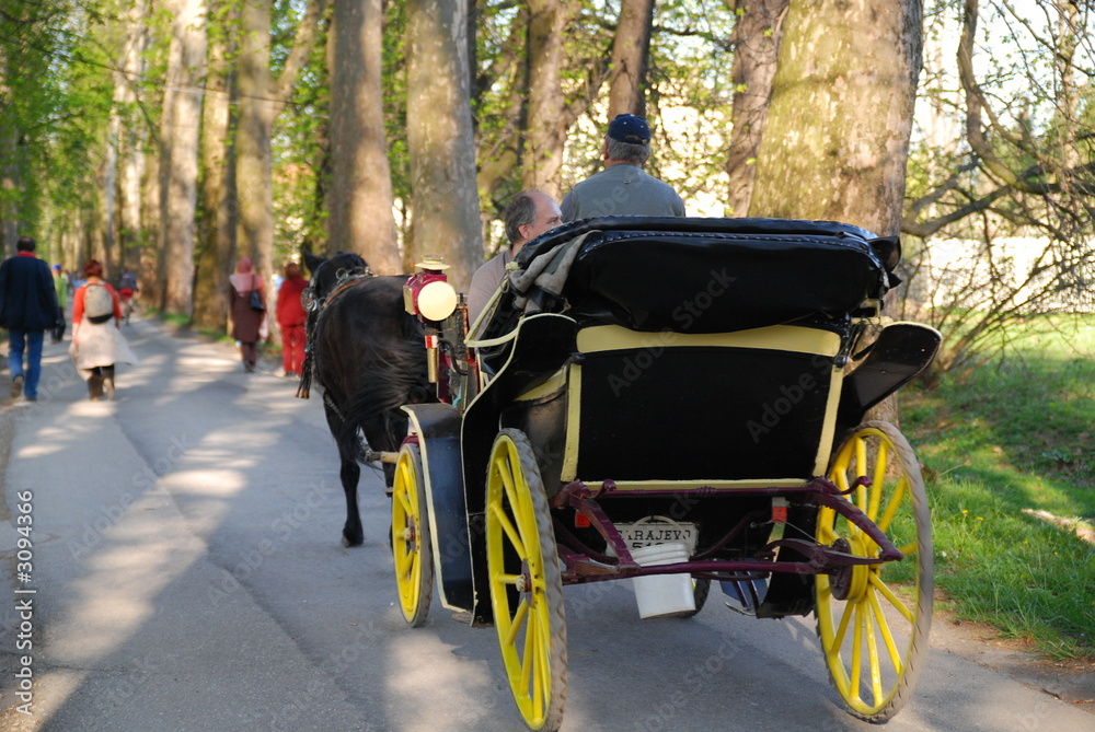 horse cab in long alley at sunny day