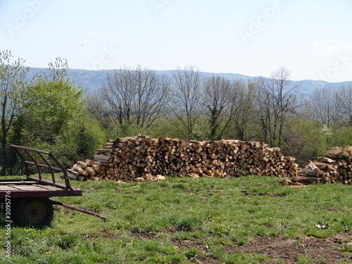 billes de bois photo