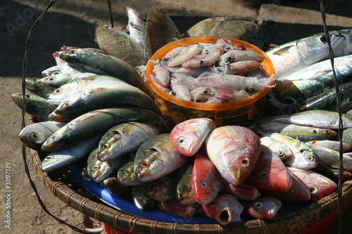 Φωτογραφία seafood