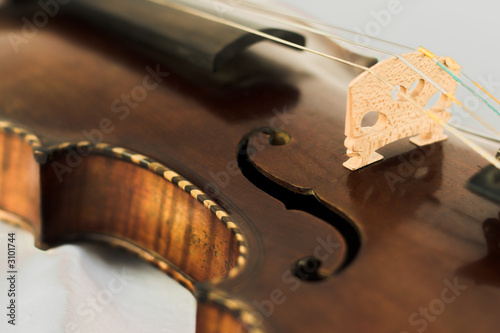 violine mit intarsien photo