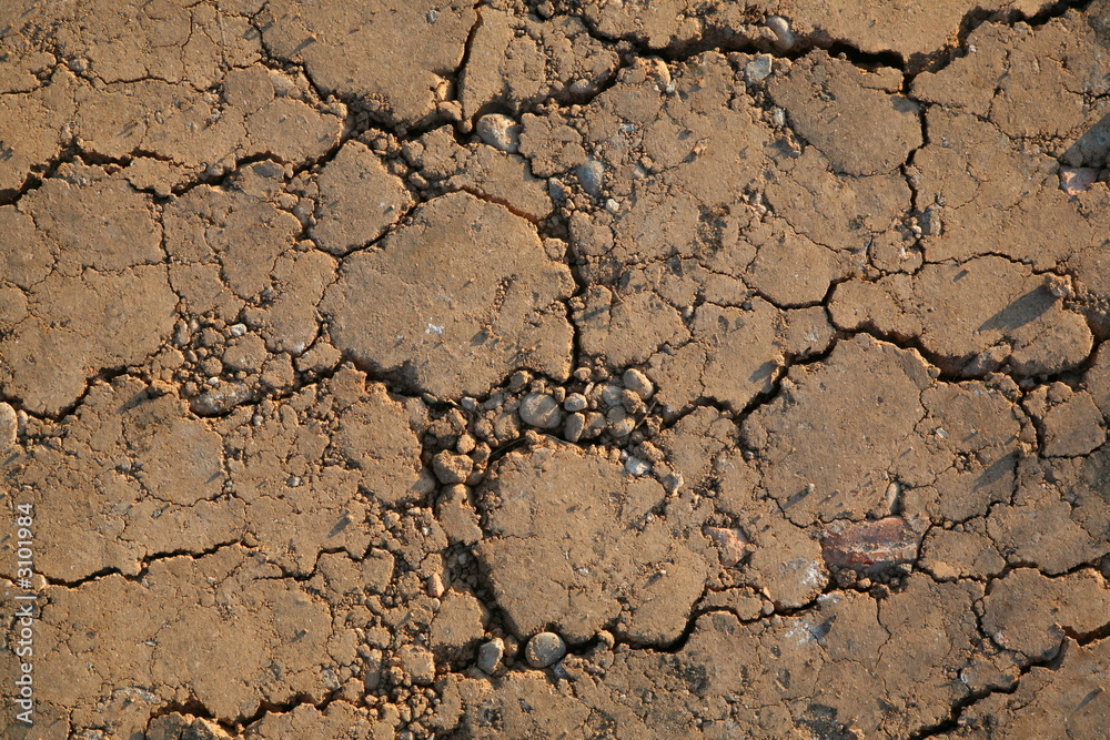 Fototapeta premium crusty earth