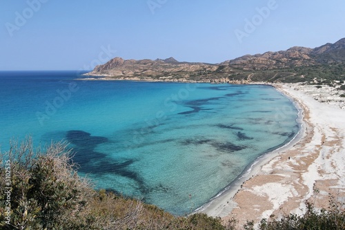 corse