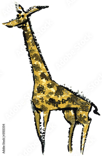Photography giraffe