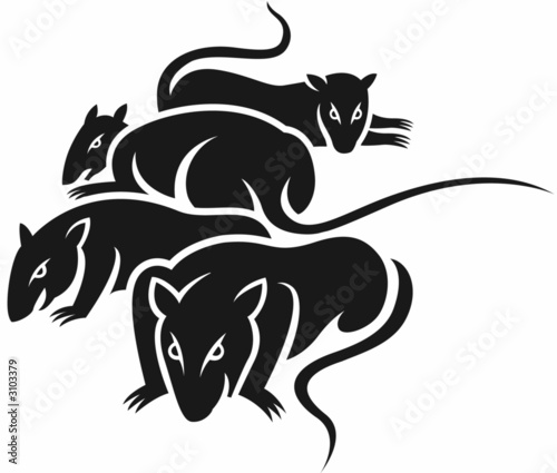 group of bad rats