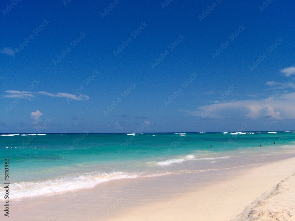 Fototapeta premium karibik, strand (2)