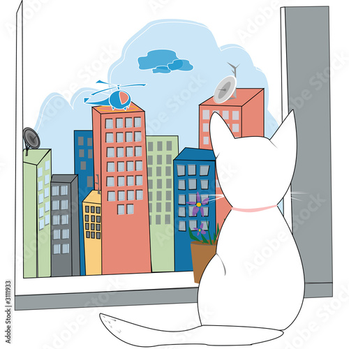 cat in a window.