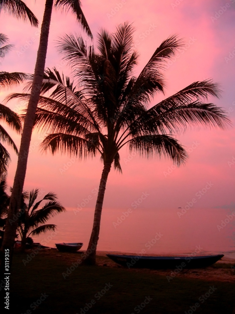 pink coconuts