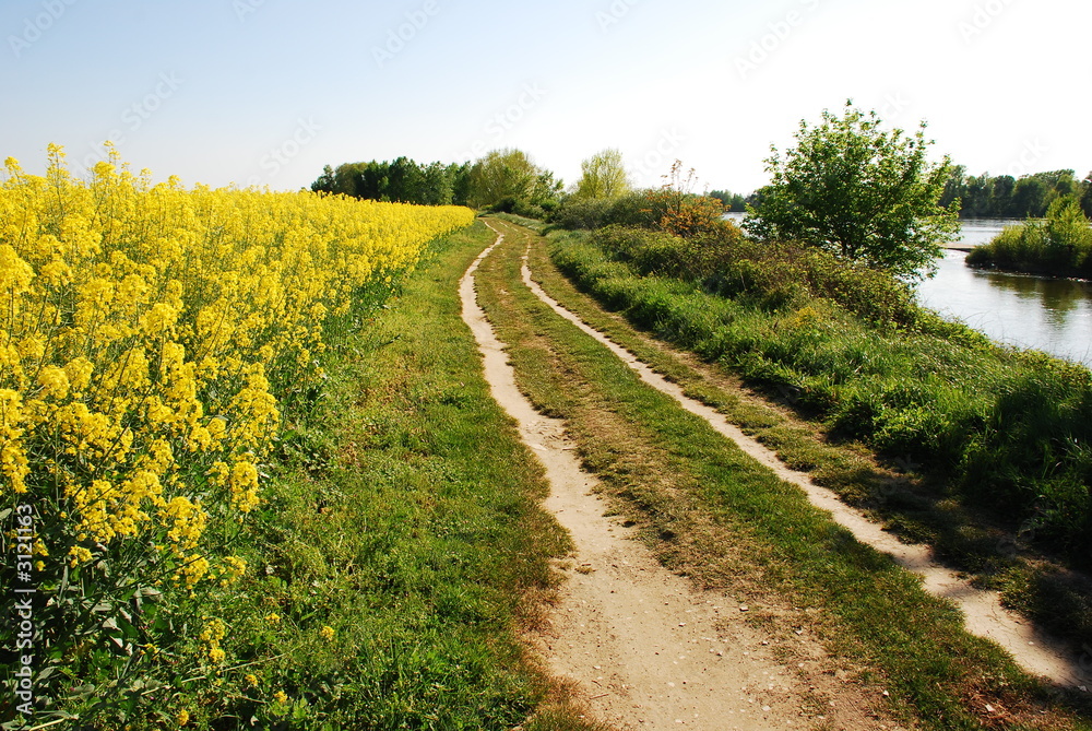 la loire à vélo