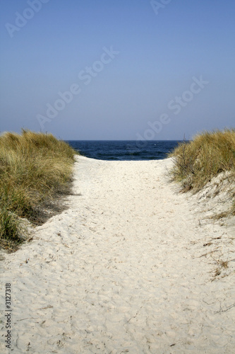 Fototapeta Naklejka Na Ścianę i Meble -  pathway in dune