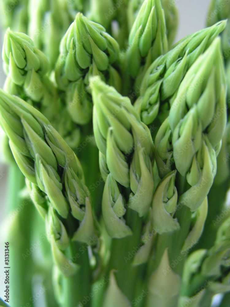 grüner spargel 04 grüner spargel 04